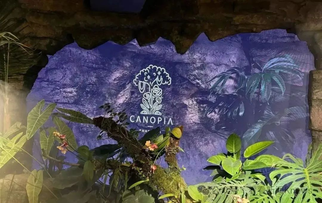 已立案调查！人均3888元、用大象粪便做甜品......