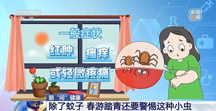 蚊子、蜱虫等“害虫”开始活跃 这份防虫全攻略请收好