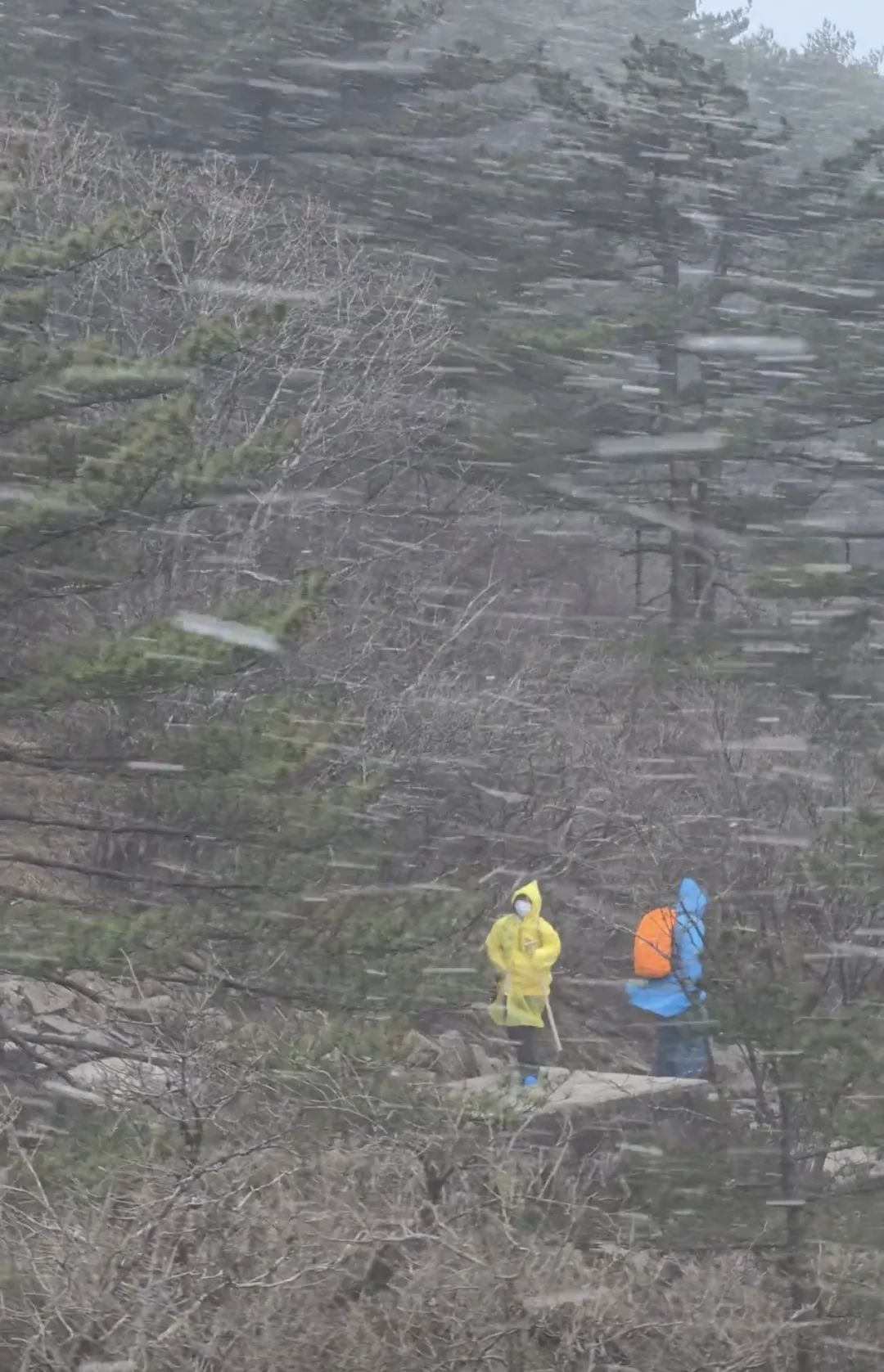 "人差点吹没了！"著名景区工作人员：短信提醒了...