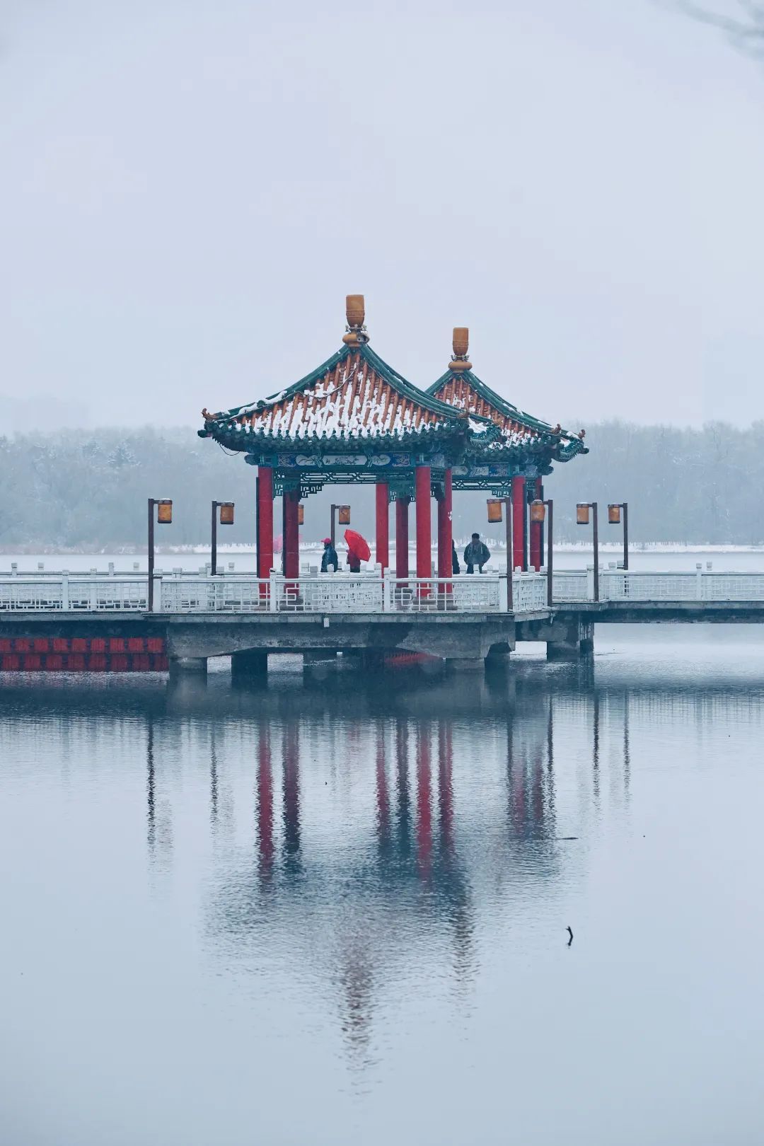 冲上热搜！长春限定版“桃花雪”刷屏