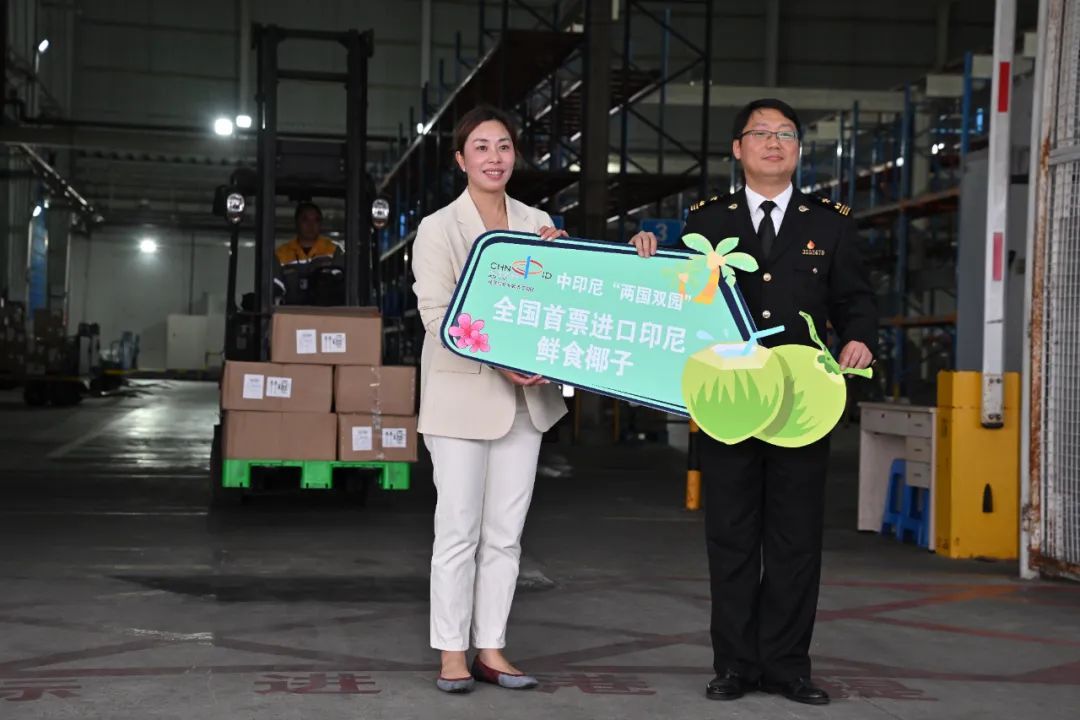 我国首次!印尼鲜食椰子来了 我国首次!印尼鲜食椰子来了