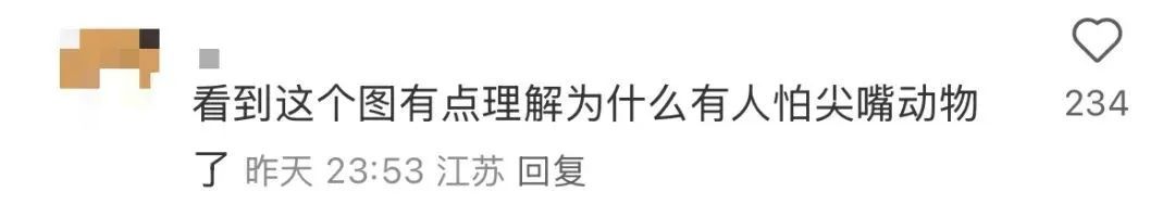 不要碰！不要碰！路边遇到这种诡异姿势的鸟，赶紧远离！人类也会感染→