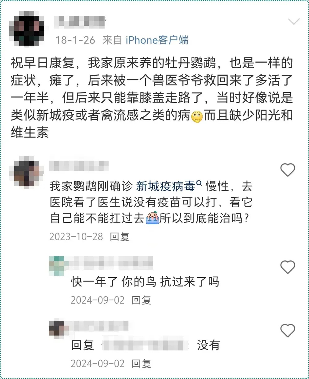 遇到这种诡异姿势的鸟，快跑，别好奇！