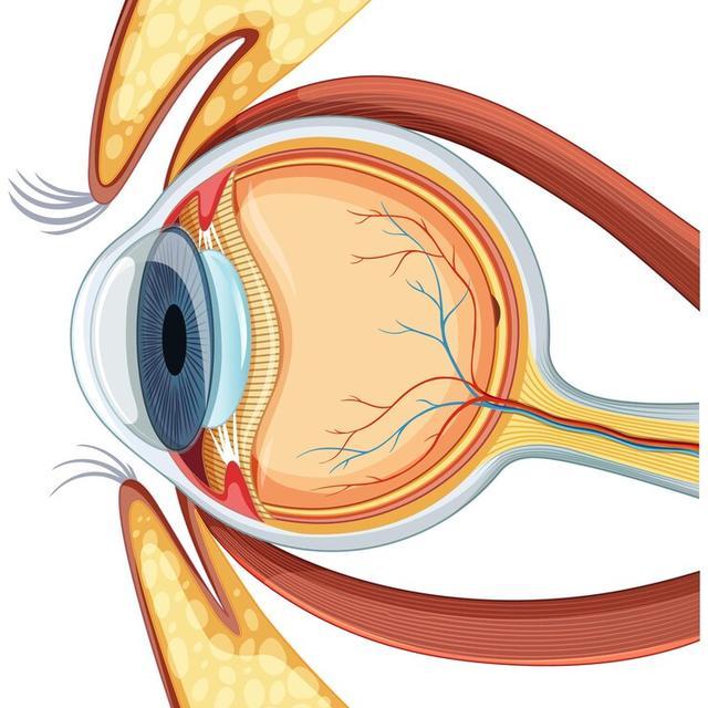 医生,揉眼睛居然有可能进ICU? 医生,揉眼睛居然有可能进ICU?