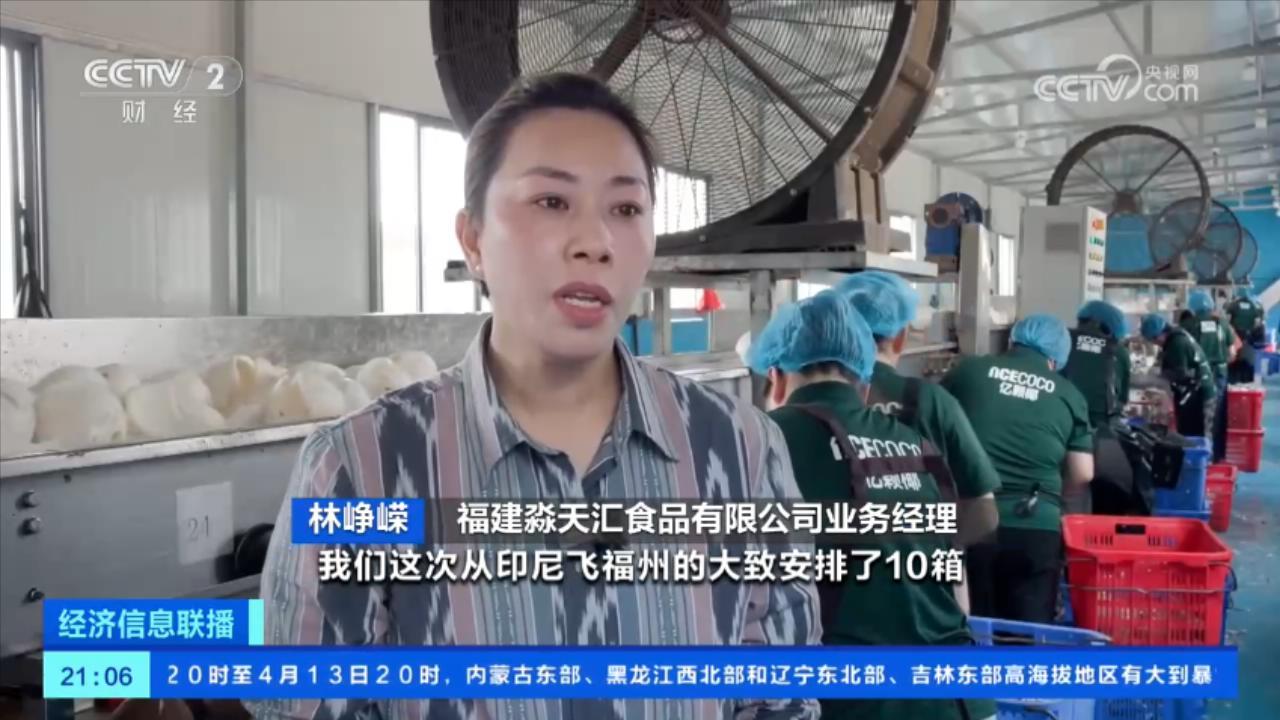 “椰”来喽！我国首次从印度尼西亚进口鲜食椰子