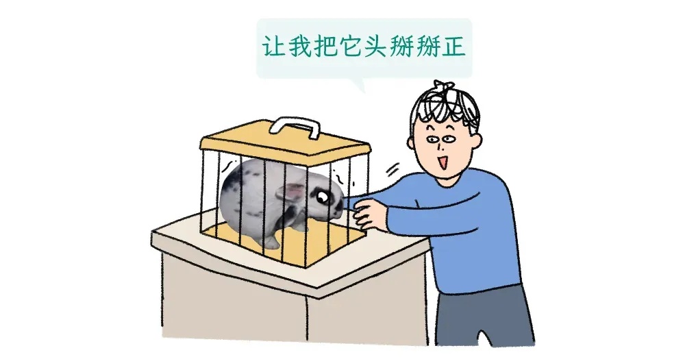 遇到这种诡异姿势的鸟，快跑，别好奇！