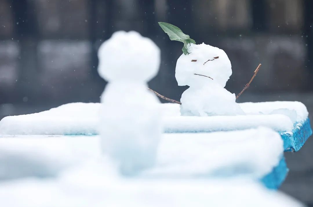 冲上热搜！长春限定版“桃花雪”刷屏