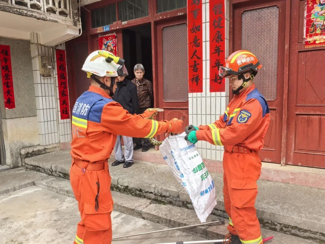 紧急提醒!贵州多地已出没!千万要小心 紧急提醒!贵州多地已出没!千万要小心