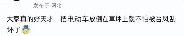 大风天气，北京多个车主将电动车提前“躺倒”避险！当地回应