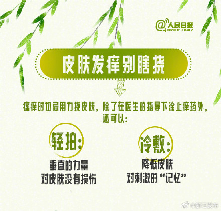 柳絮预警!收好这份过敏人群飞絮防护指南 柳絮预警!收好这份过敏人群飞絮防护指南