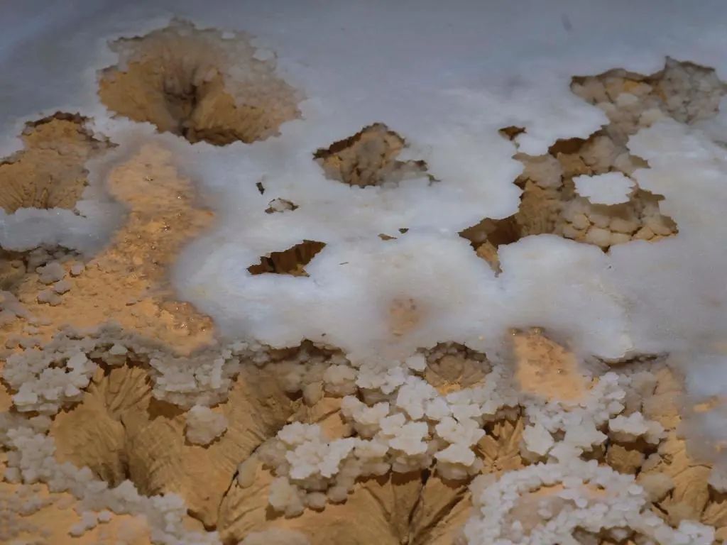 意外发现!4.8亿年绝美"地下水晶宫"! 意外发现!4.8亿年绝美"地下水晶宫"!