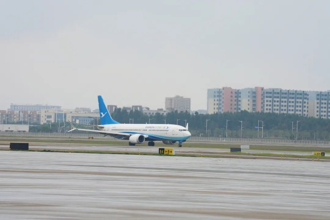 我国首次!印尼鲜食椰子来了 我国首次!印尼鲜食椰子来了