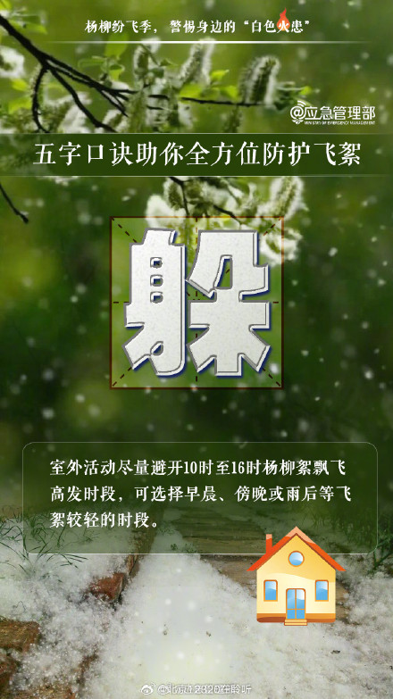 五字口诀助你全方位防护飞絮 五字口诀助你全方位防护飞絮