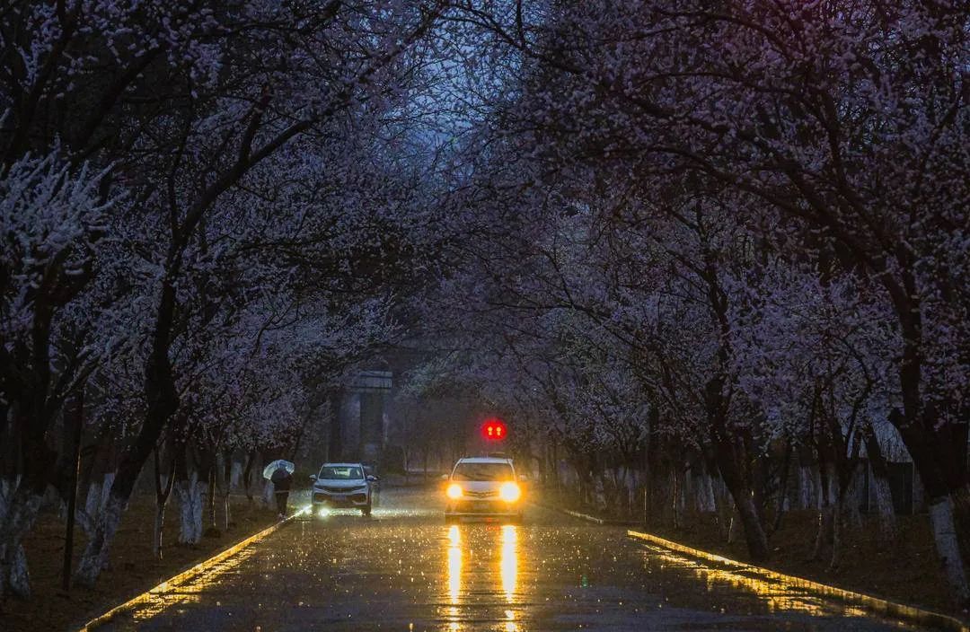 最新预警！今晚沈阳还有雪！明早跌至0℃，这雨啥时候停→
