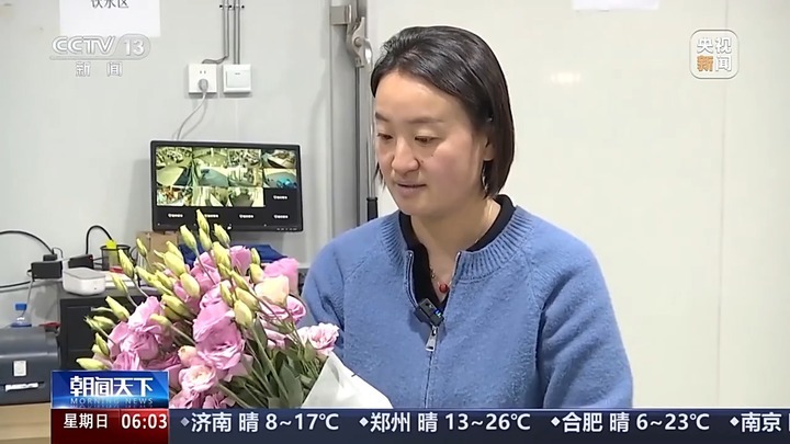 云南鲜花出口暴涨52.3%！韩国俄罗斯抢疯了