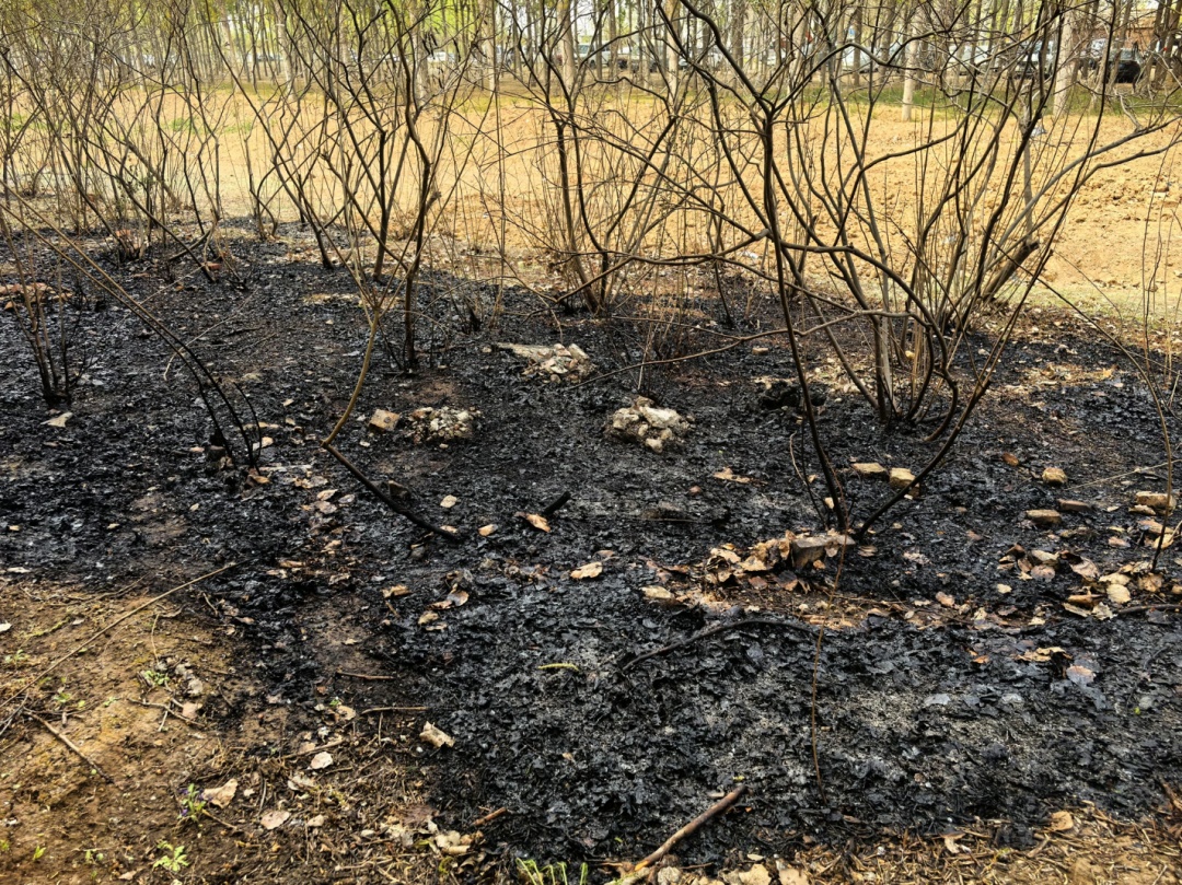 “我就点着玩……”警方:拘留10天! “我就点着玩……”警方:拘留10天!