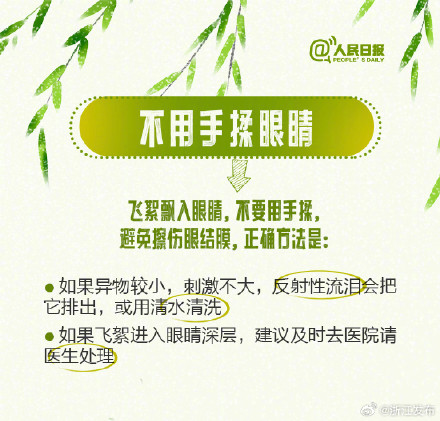 柳絮预警!收好这份过敏人群飞絮防护指南 柳絮预警!收好这份过敏人群飞絮防护指南