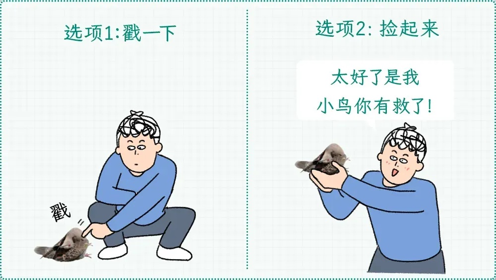 遇到这种诡异姿势的鸟，快跑，别好奇！