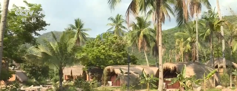 花经济“四季常开” “花卉+”创新升级激活文旅市场新动能 花经济“四季常开” “花卉+”创新升级激活文旅市场新动能