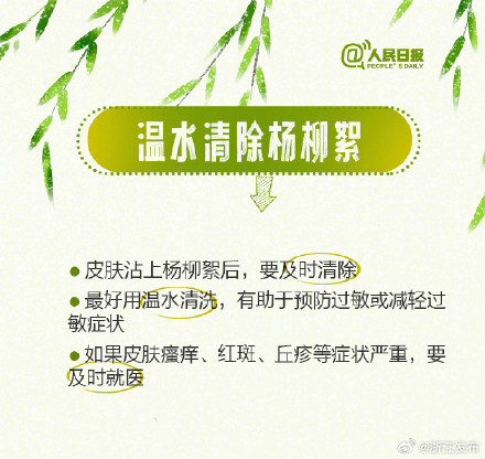 柳絮预警!收好这份过敏人群飞絮防护指南 柳絮预警!收好这份过敏人群飞絮防护指南