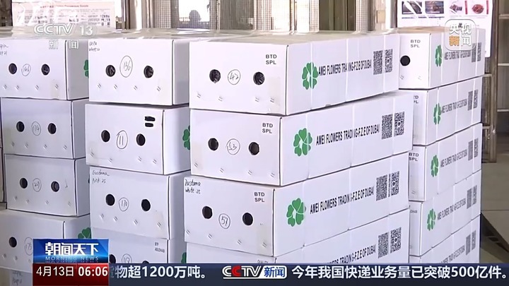 云南鲜花出口暴涨52.3%！韩国俄罗斯抢疯了