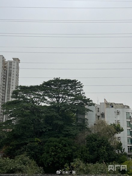 多图直击沙尘南下的广东