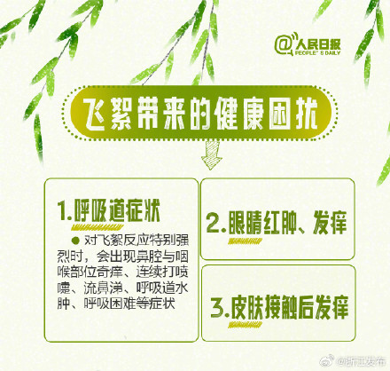 柳絮预警!收好这份过敏人群飞絮防护指南 柳絮预警!收好这份过敏人群飞絮防护指南