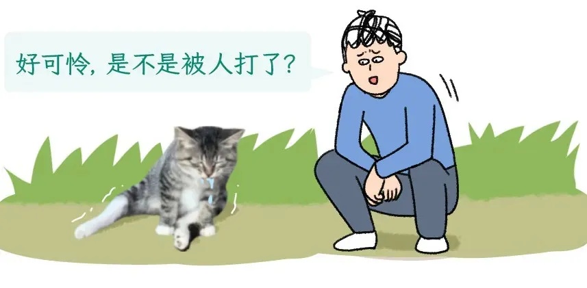 遇到这种诡异姿势的鸟，快跑，别好奇！