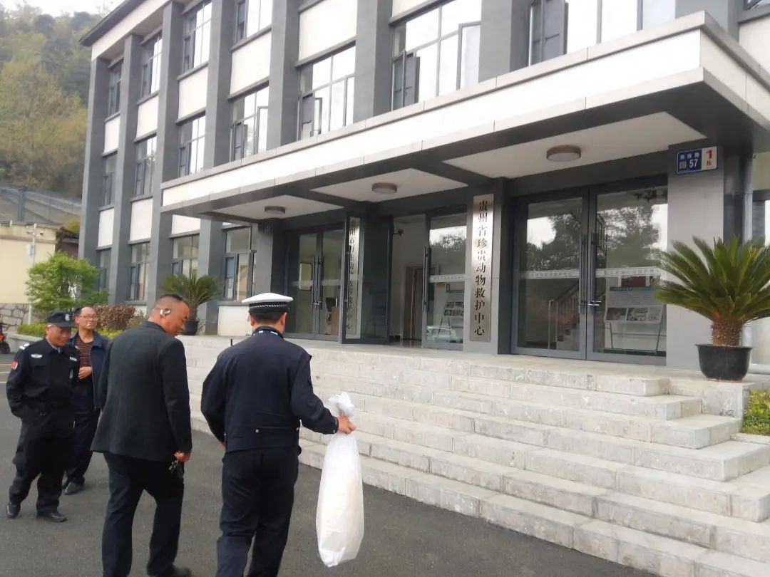 紧急提醒!贵州多地已出没!千万要小心 紧急提醒!贵州多地已出没!千万要小心