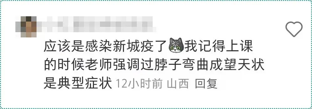 遇到这种诡异姿势的鸟，快跑，别好奇！