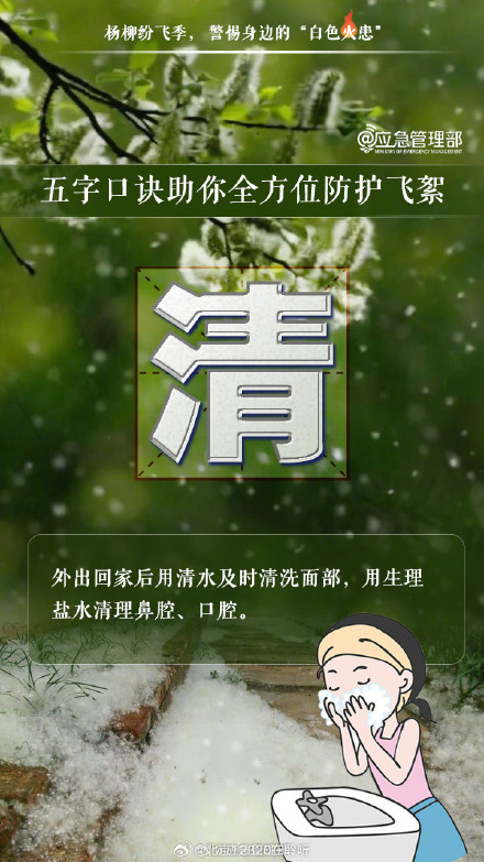 五字口诀助你全方位防护飞絮 五字口诀助你全方位防护飞絮