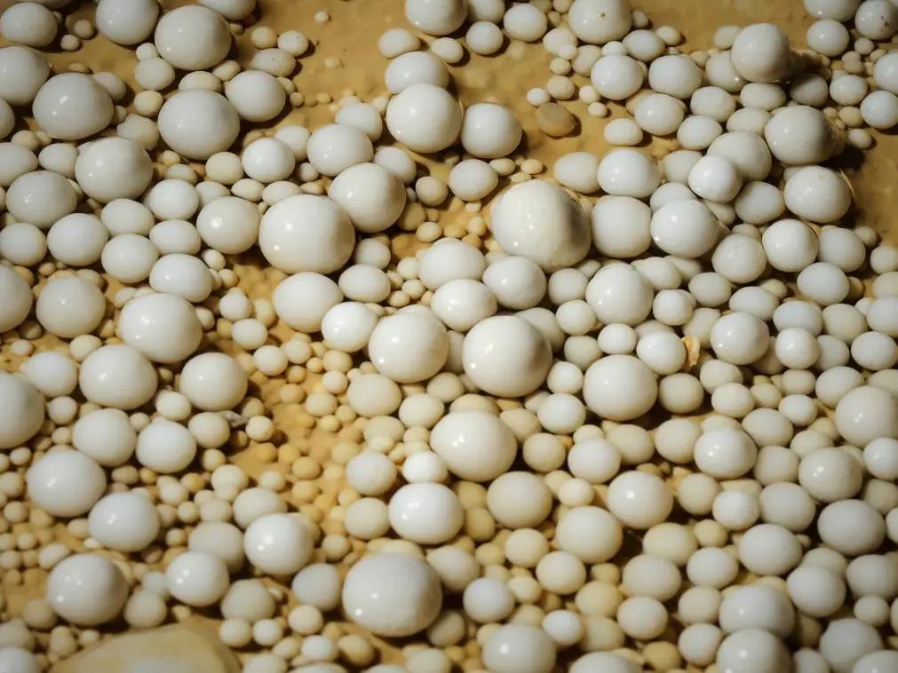 意外发现!4.8亿年绝美"地下水晶宫"! 意外发现!4.8亿年绝美"地下水晶宫"!