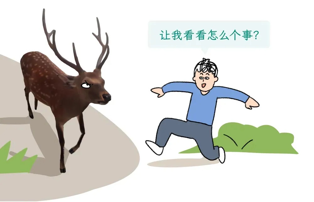 遇到这种诡异姿势的鸟，快跑，别好奇！