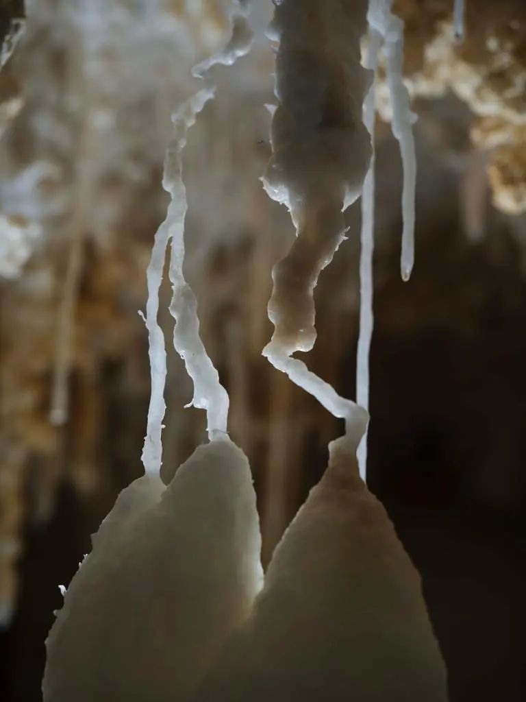 意外发现!4.8亿年绝美"地下水晶宫"! 意外发现!4.8亿年绝美"地下水晶宫"!