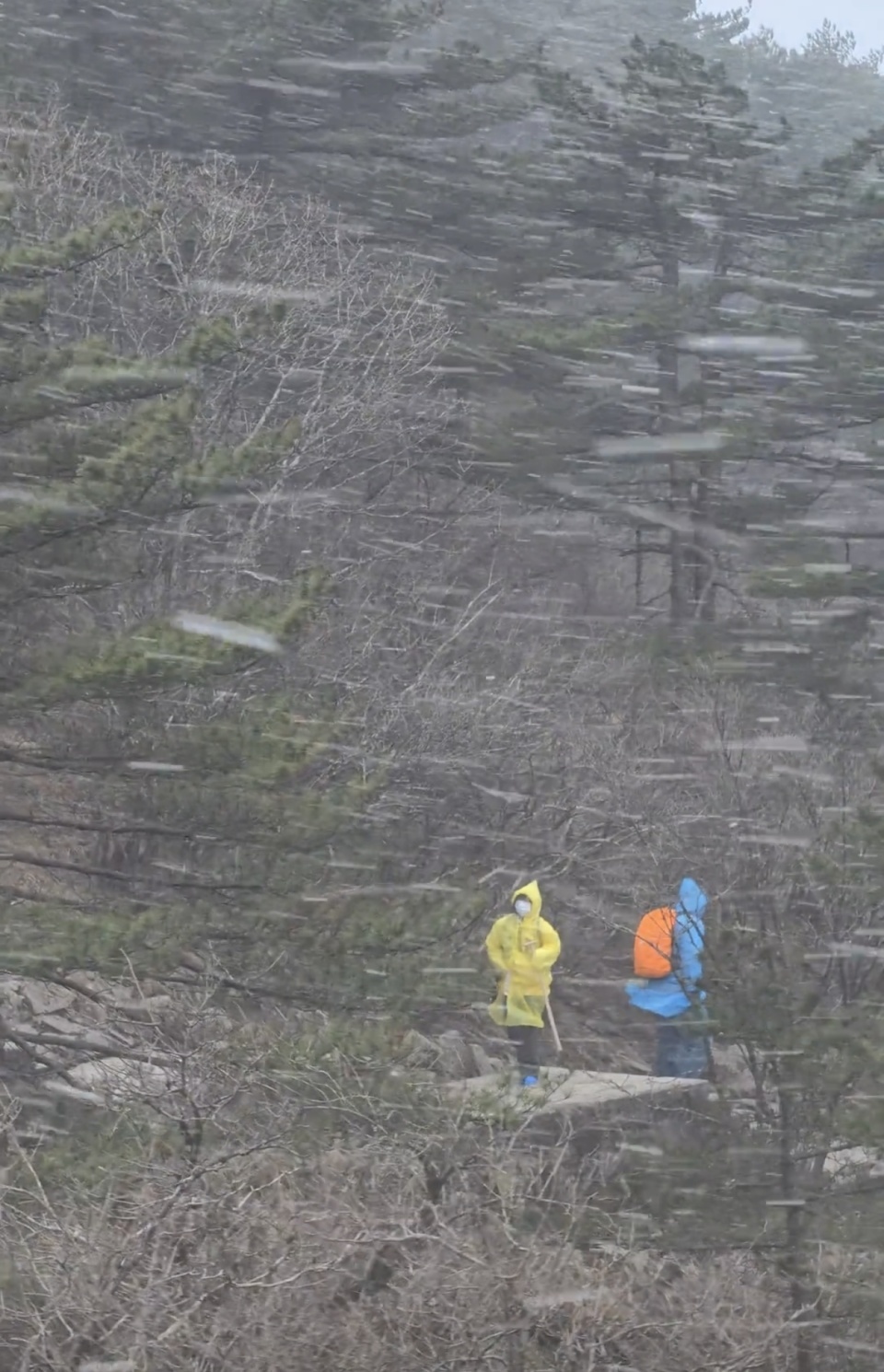 “人差点吹没了!”黄山景区风雨雪齐聚,游客风口互相搀扶,景区:短信提醒了建议改期 “人差点吹没了!”黄山景区风雨雪齐聚,游客风口互相搀扶,景区:短信提醒了建议改期
