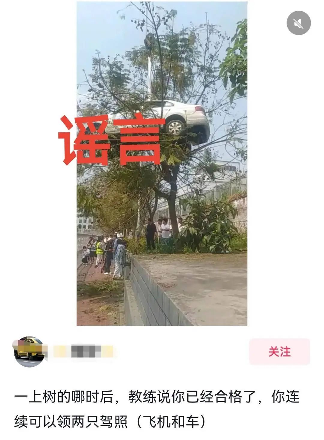 学员把教练车开上树？摆拍！一驾校被约谈