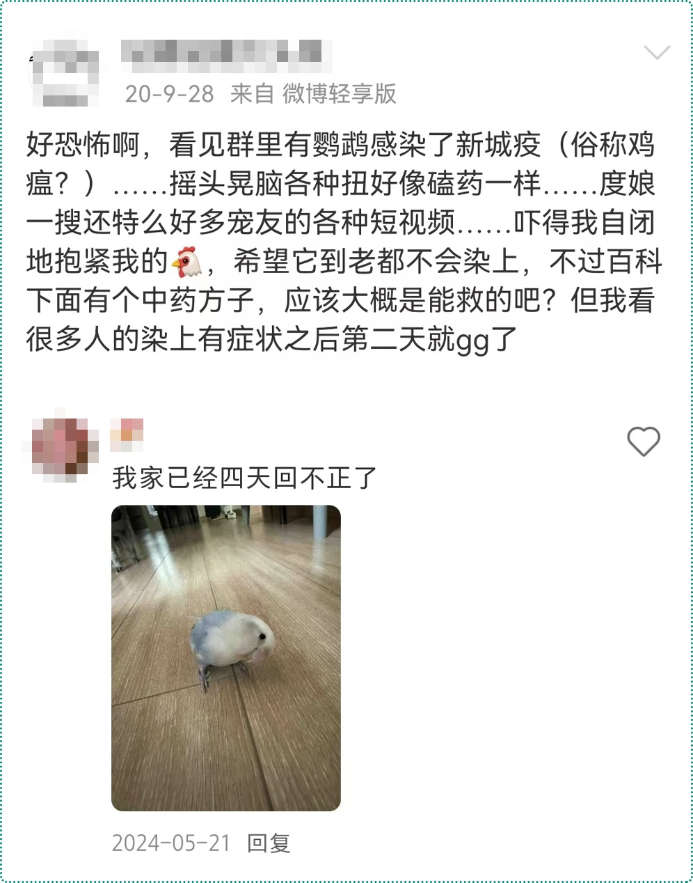 不要碰！不要碰！路边遇到这种诡异姿势的鸟，赶紧远离！人类也会感染→