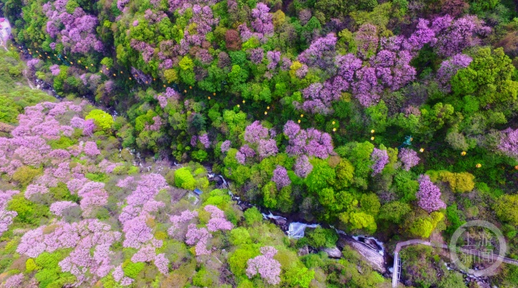 西安一峪口贴警告“两年失联9人”?当地回应:游客自行开发线路 西安一峪口贴警告“两年失联9人”?当地回应:游客自行开发线路