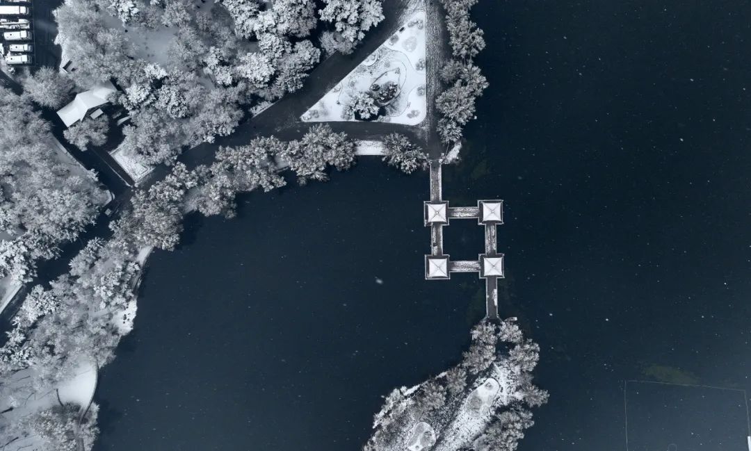 冲上热搜！长春限定版“桃花雪”刷屏