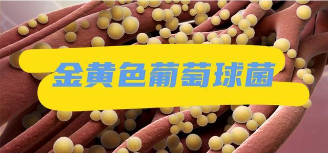 医生,揉眼睛居然有可能进ICU? 医生,揉眼睛居然有可能进ICU?