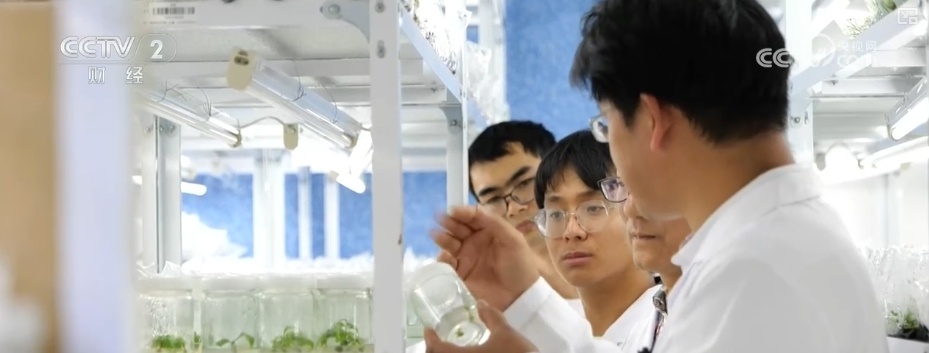 花经济“四季常开” “花卉+”创新升级激活文旅市场新动能 花经济“四季常开” “花卉+”创新升级激活文旅市场新动能