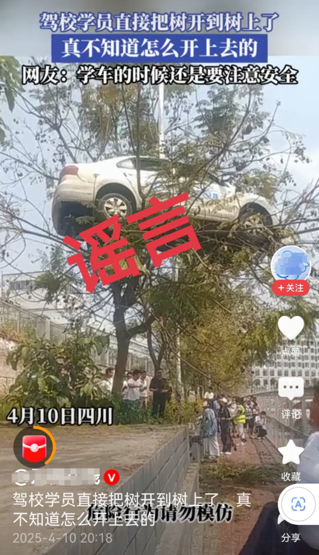 学员把教练车开上树？摆拍！一驾校被约谈