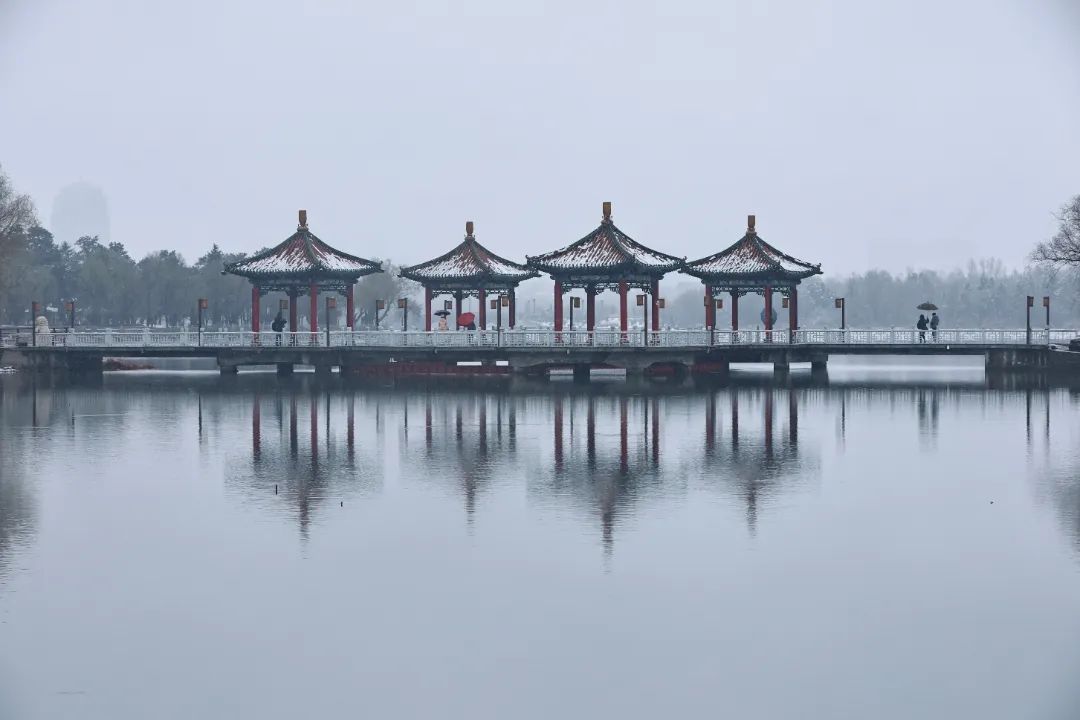 冲上热搜！长春限定版“桃花雪”刷屏