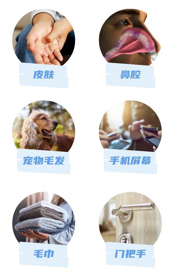 医生,揉眼睛居然有可能进ICU? 医生,揉眼睛居然有可能进ICU?