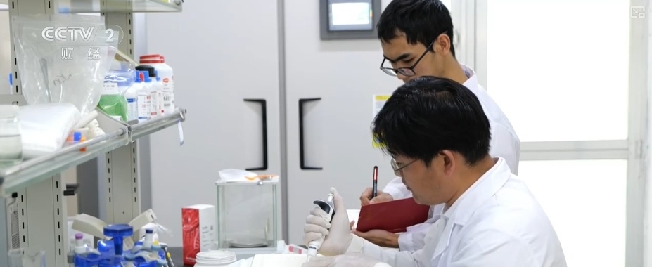 花经济“四季常开” “花卉+”创新升级激活文旅市场新动能 花经济“四季常开” “花卉+”创新升级激活文旅市场新动能