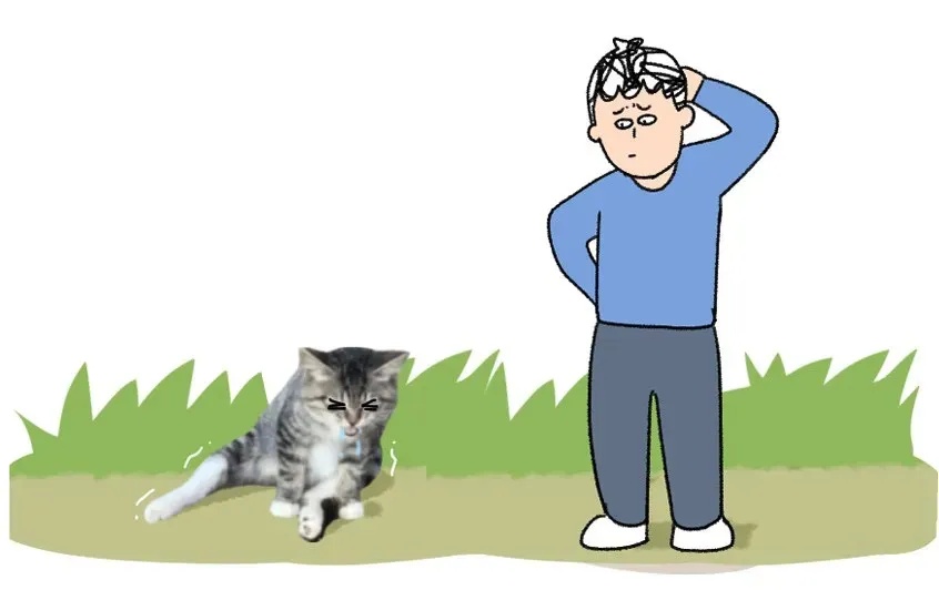 遇到这种诡异姿势的鸟，快跑，别好奇！