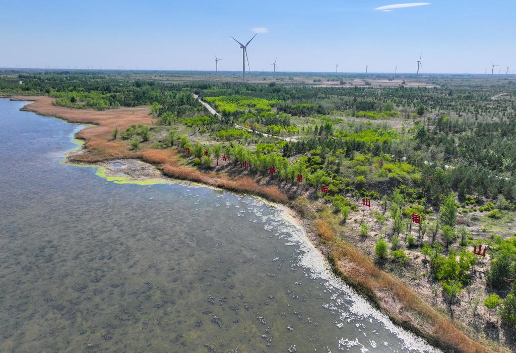 记者手记:西辽河复苏背后的生态之变 记者手记:西辽河复苏背后的生态之变