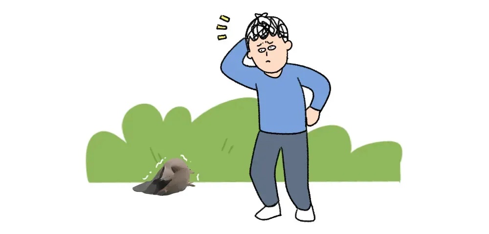 遇到这种诡异姿势的鸟，快跑，别好奇！