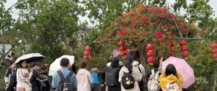 花经济“四季常开” “花卉+”创新升级激活文旅市场新动能 花经济“四季常开” “花卉+”创新升级激活文旅市场新动能