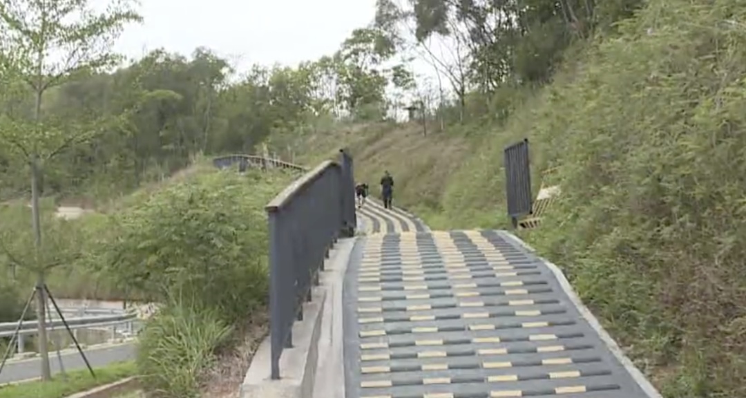 广东一绿道现“搓衣板”减速带？当地回应！记者走访→